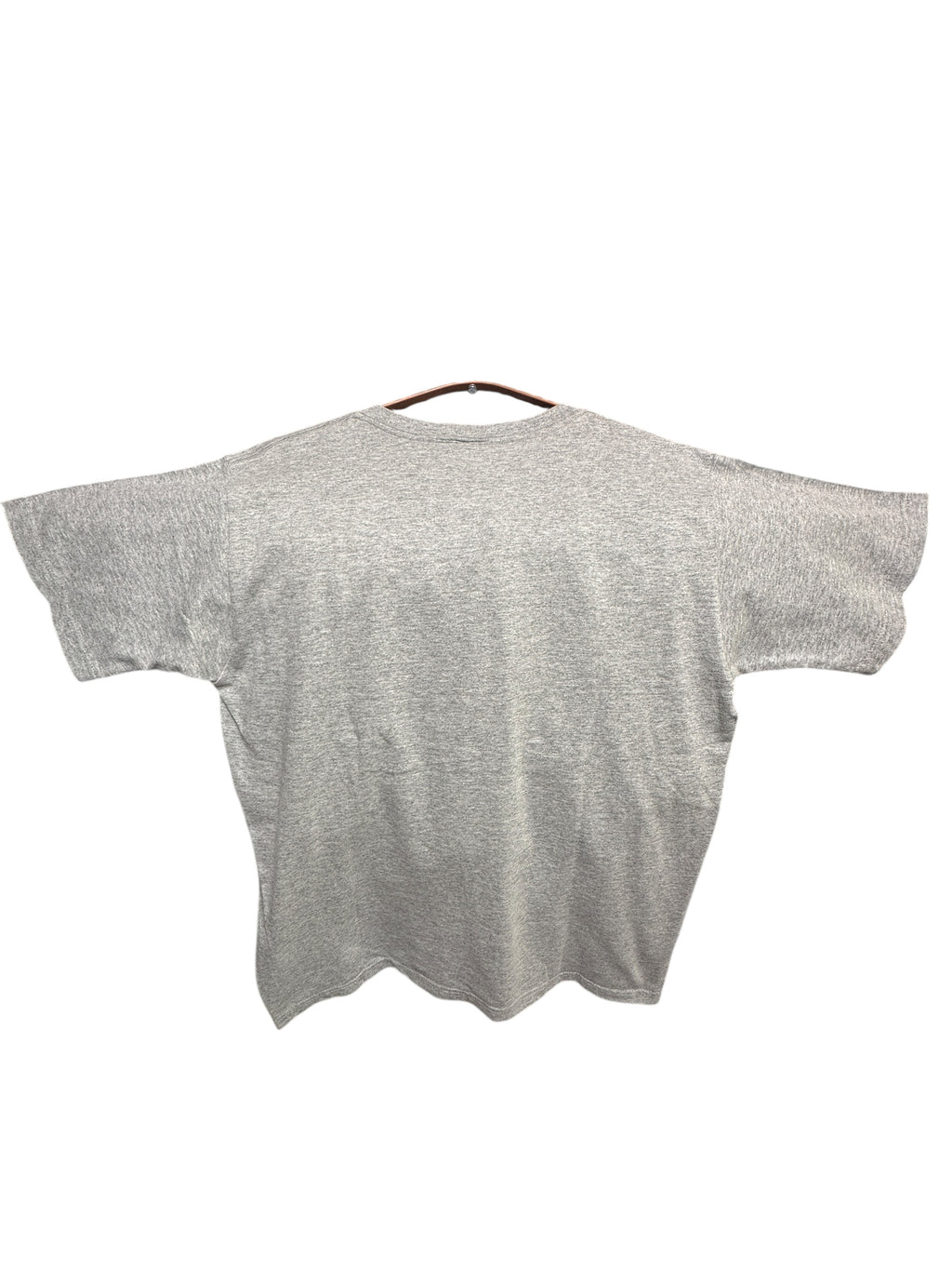 1999 Fruit of the Loom heavy cotton American college t-shirt M
