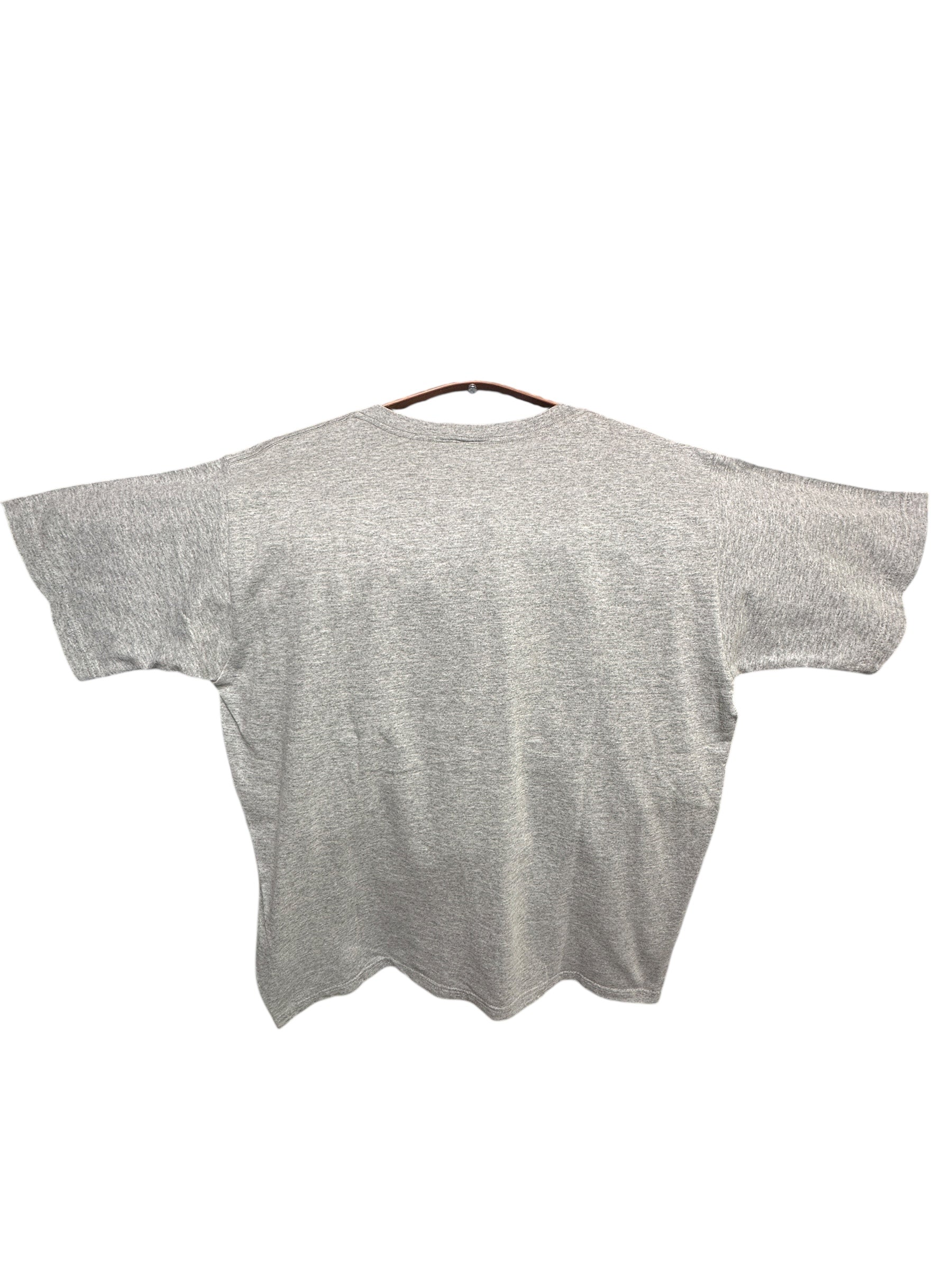 1999 Fruit of the Loom heavy cotton American college t-shirt M