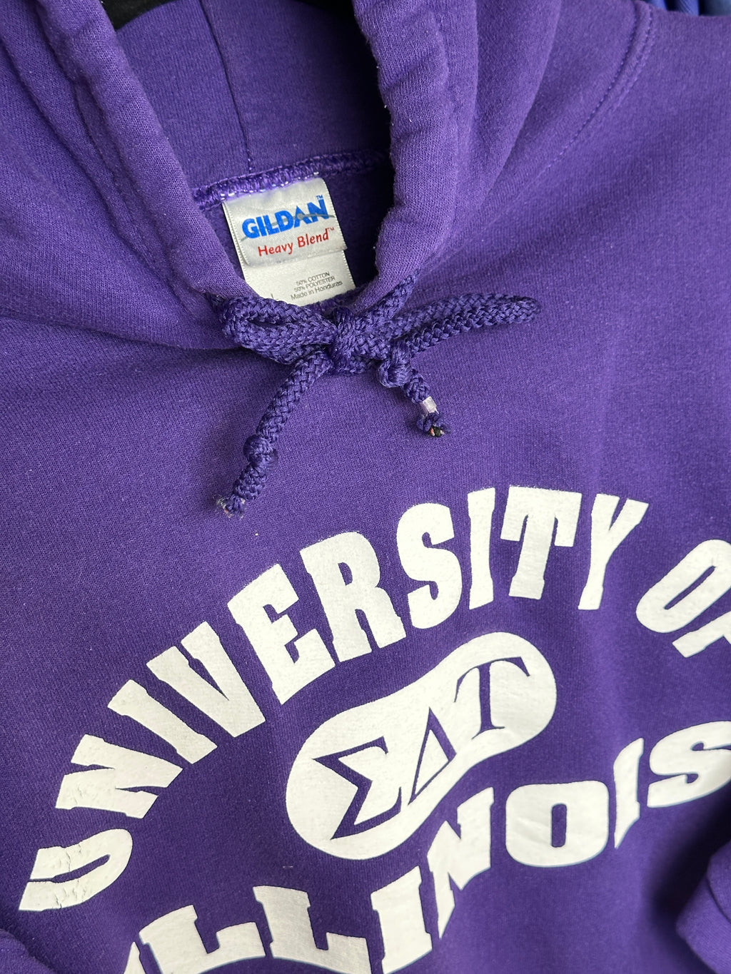 2000s Heavy College Hoodie Gildan Illinois Lila L