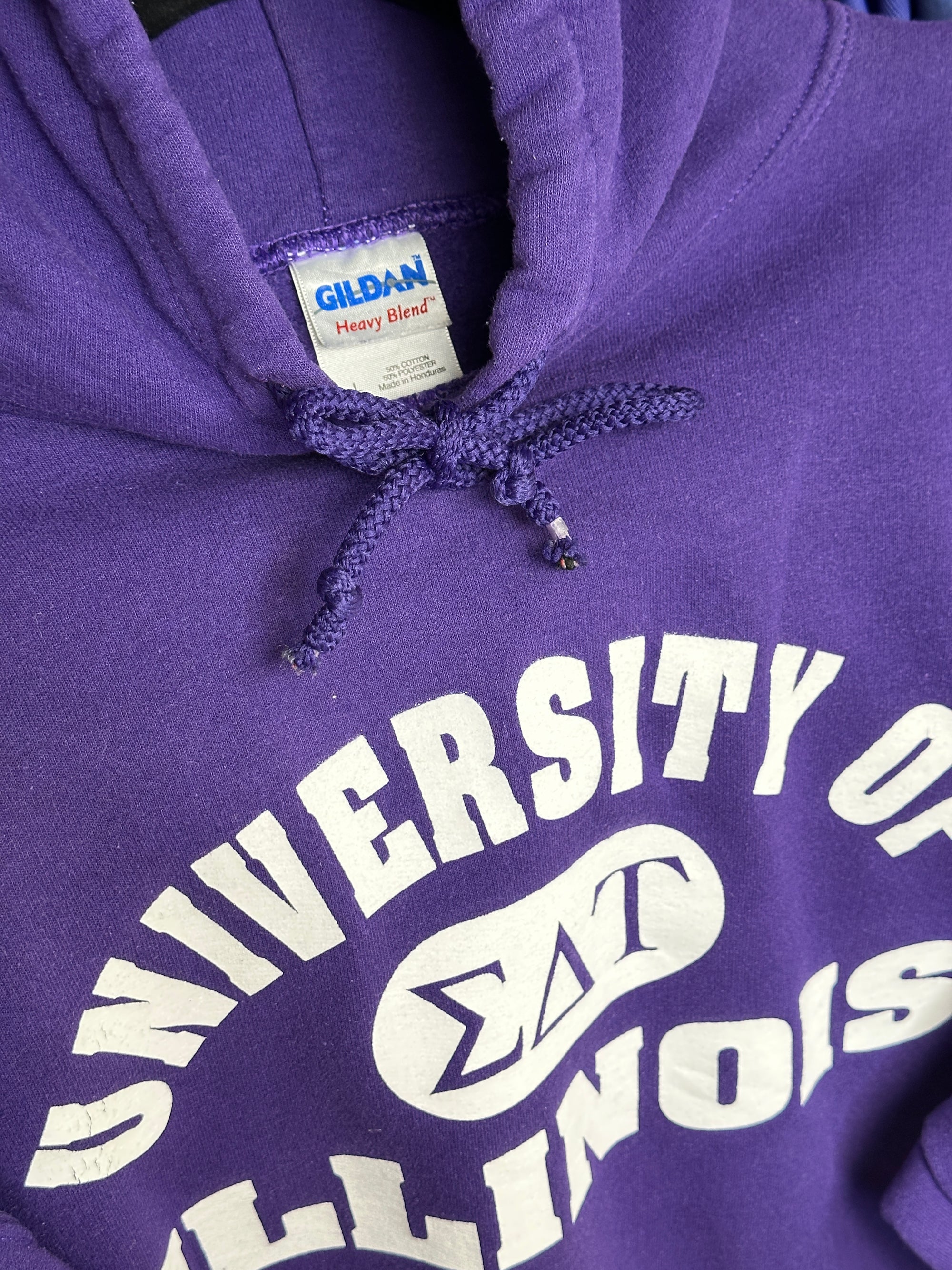 2000s Heavy College Hoodie Gildan Illinois Lila L