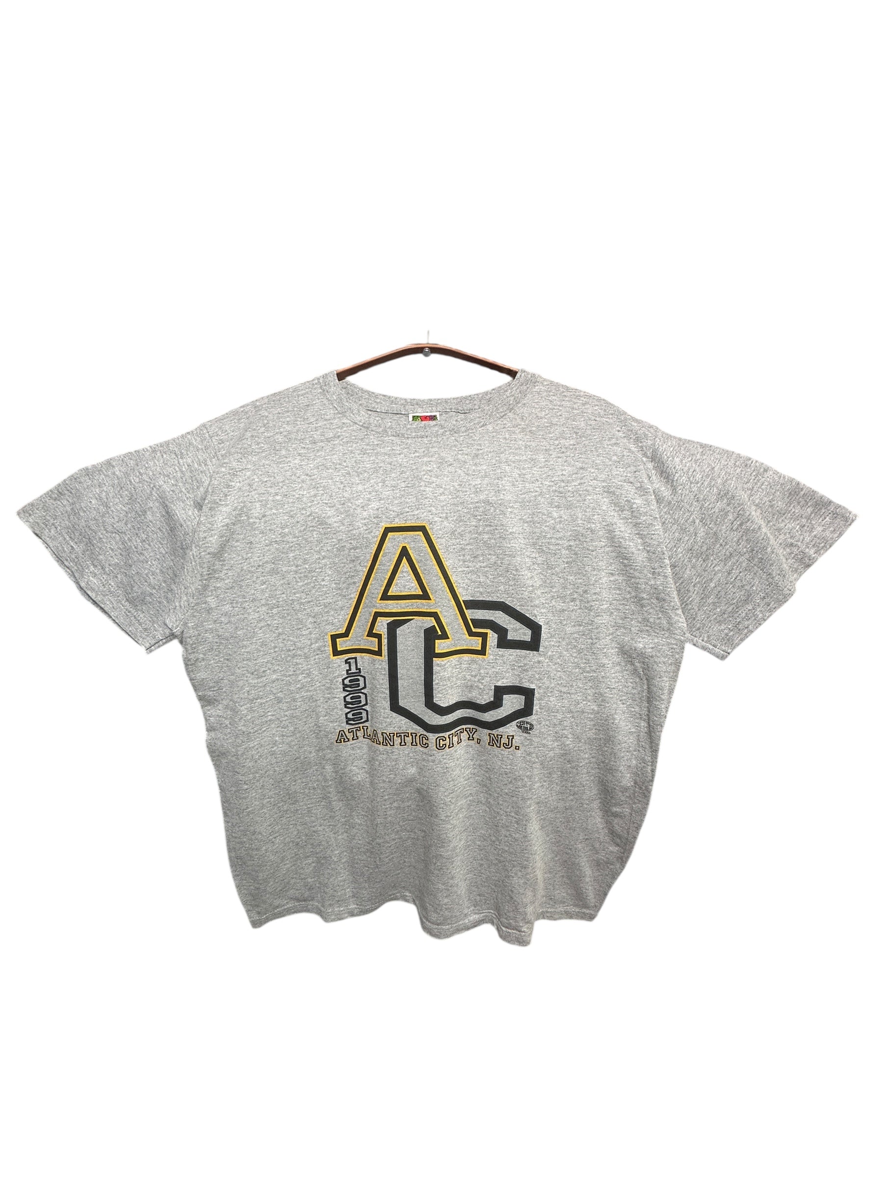 1999 Fruit of the Loom heavy cotton American college t-shirt M